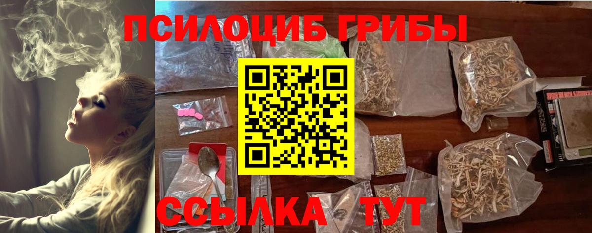 Галлюциногенные грибы GOLDEN TEACHER  Галлюциногенные грибы Cubensis  Кострома  Вход с VPN 